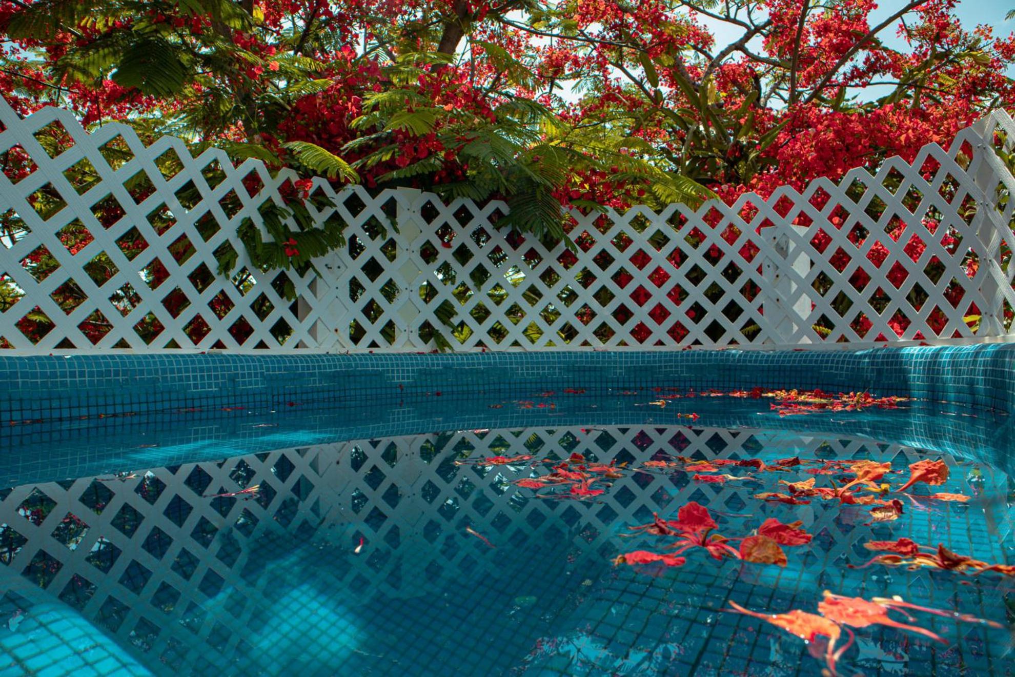 Casa Wayak Hotel Cancun Exterior photo